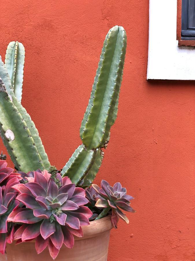 Cortijo El Pozuelo Vendégház Tarifa Kültér fotó